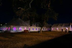 A Multicolored Masterpiece of Tent and Party Rentals _2