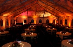 Autumn Tented Affair