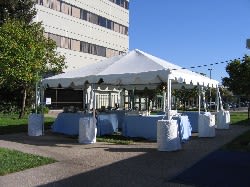 Elegant Meeting in a Tent