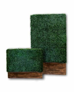 Evergreen Hedge Panel With Wood Base