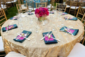 Party Rentals for Outdoor Fund-Raiser Event_1