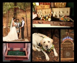 Rainbow Wedding in the Redwoods_5