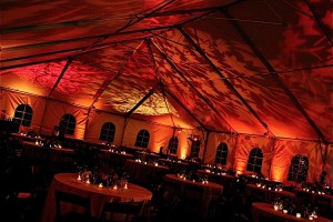 Tent Rentals Allow You to be More Creative with Ceiling Décor_03