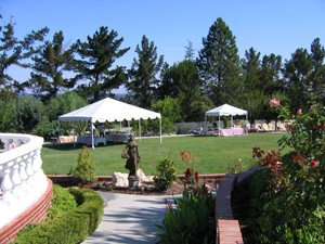 Tented Backyard Wedding_3