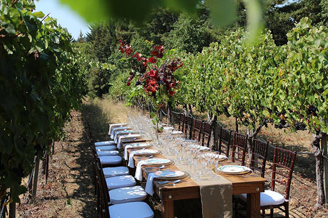 outdoor wedding reception at California vineyard