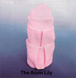 the arum lily napkin