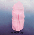 The Arum Lily Napkin the arum lily napkin