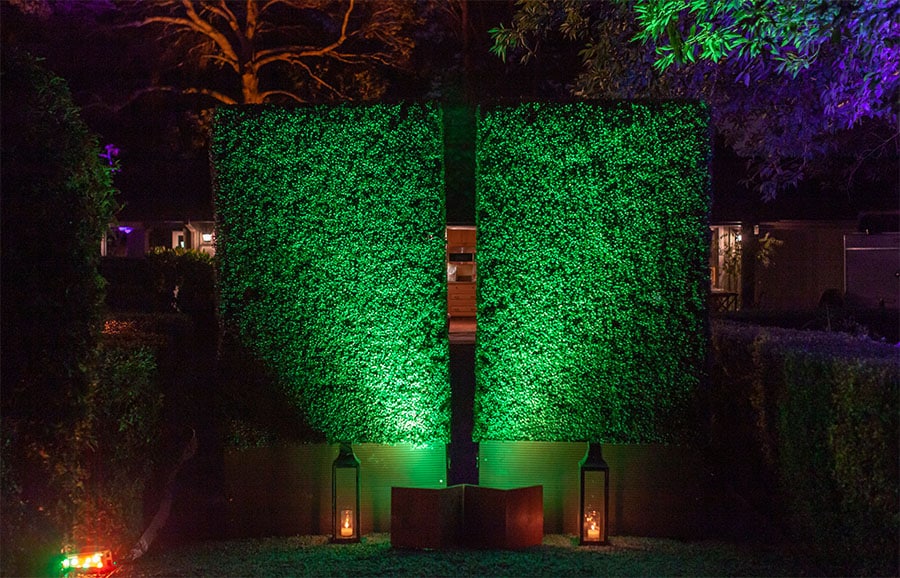 decorative hedge style backdrop for birthday party